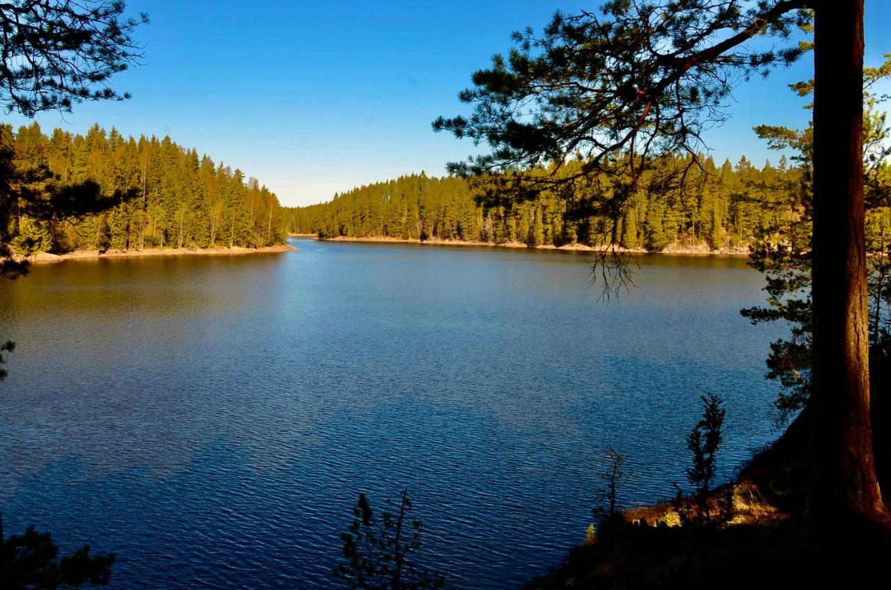 Lake And Forest Hideaway Årjäng Esterno foto
